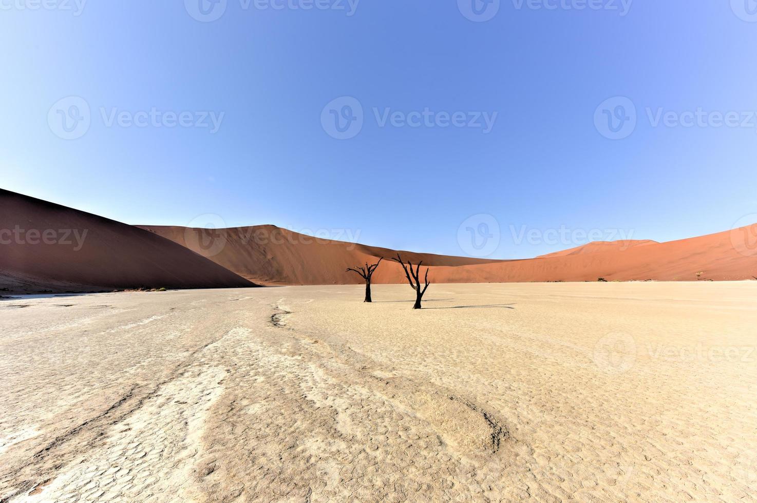 Dead Vlei, Namibia photo