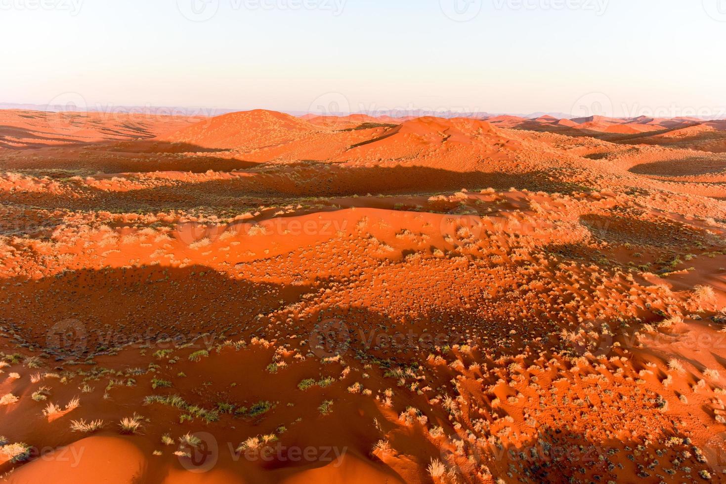 Namib Sand Sea - Namibia photo