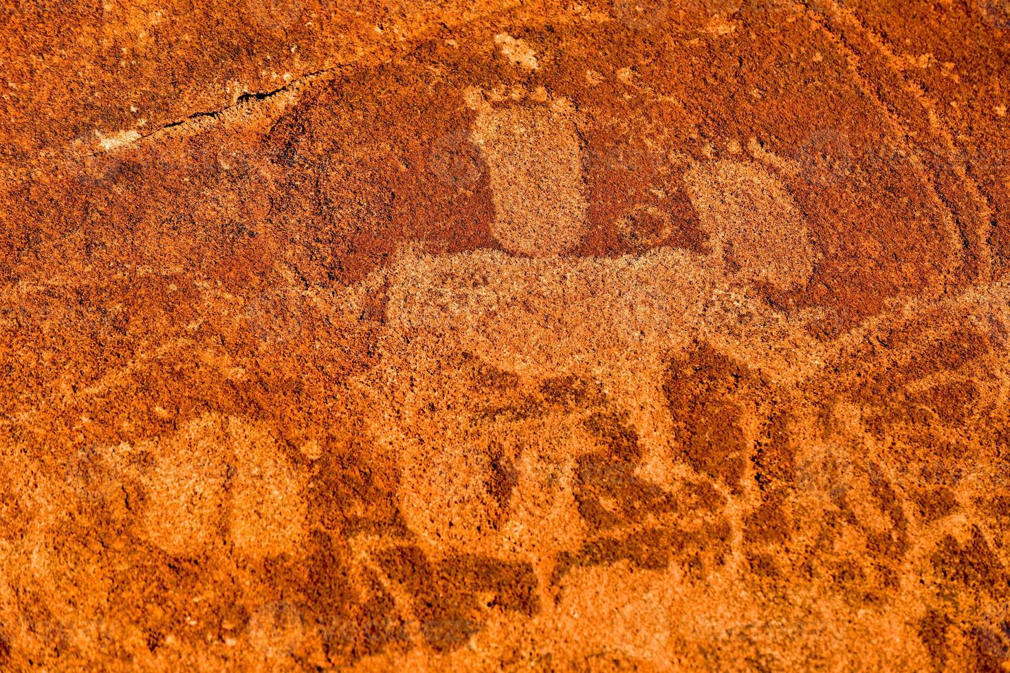 grabados rupestres bosquimanos - namibia foto