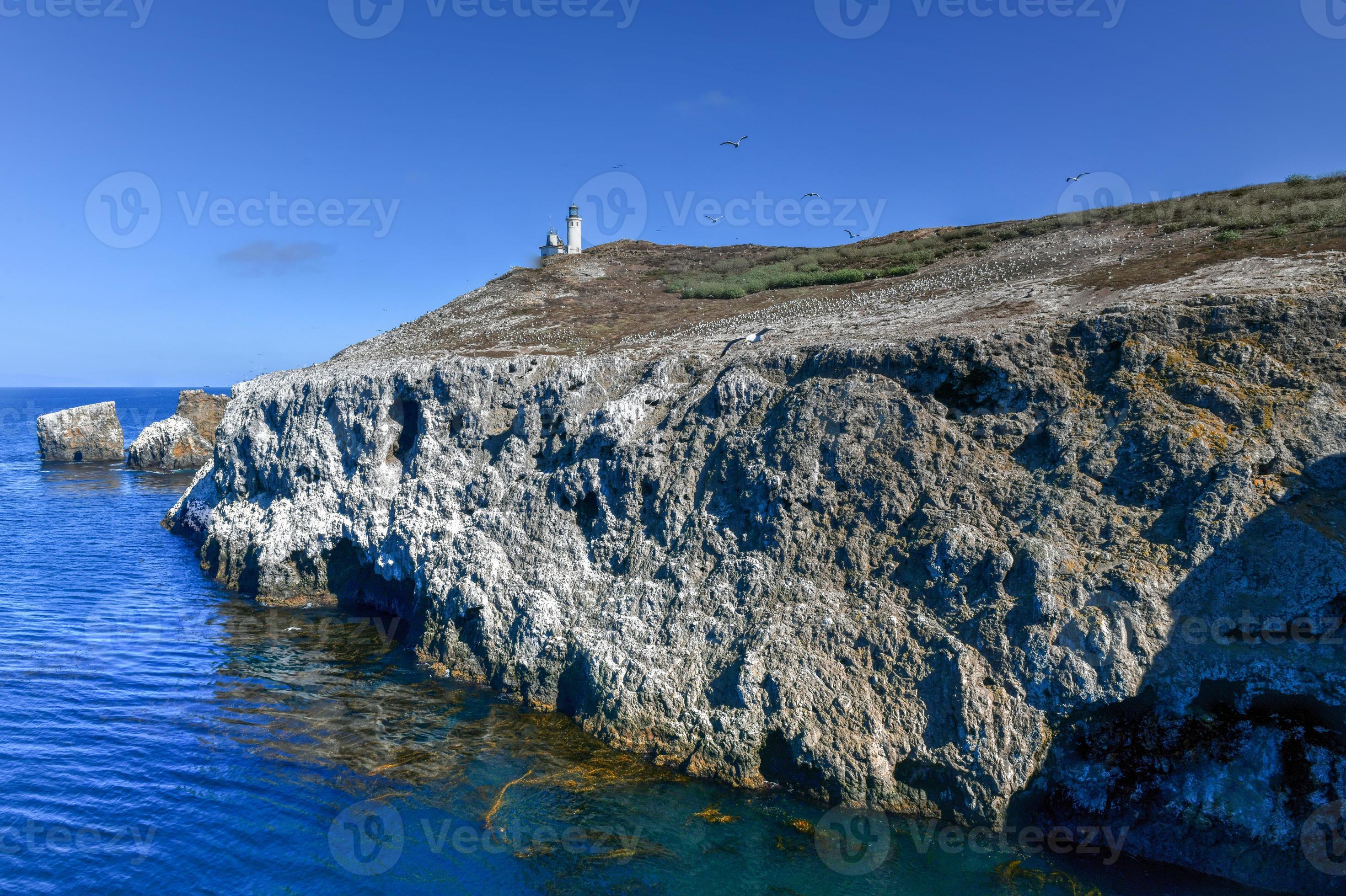 Anacapa island lighthouse with nesting seagulls at Channel Islands