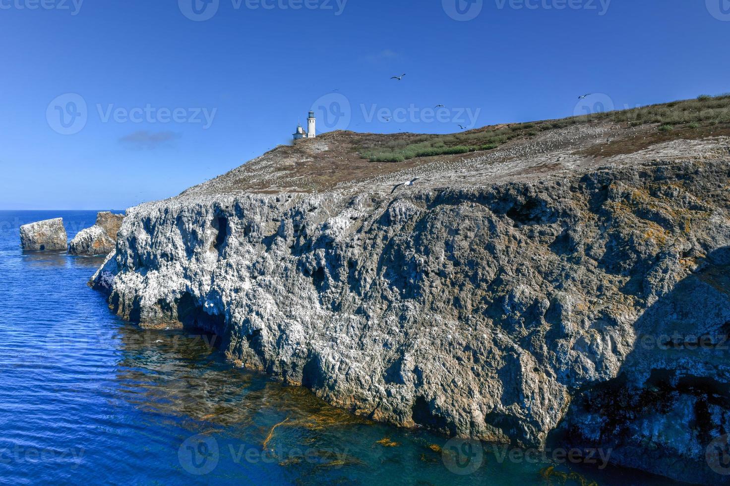 Anacapa island lighthouse with nesting seagulls at Channel Islands National Park in Ventura County California. photo