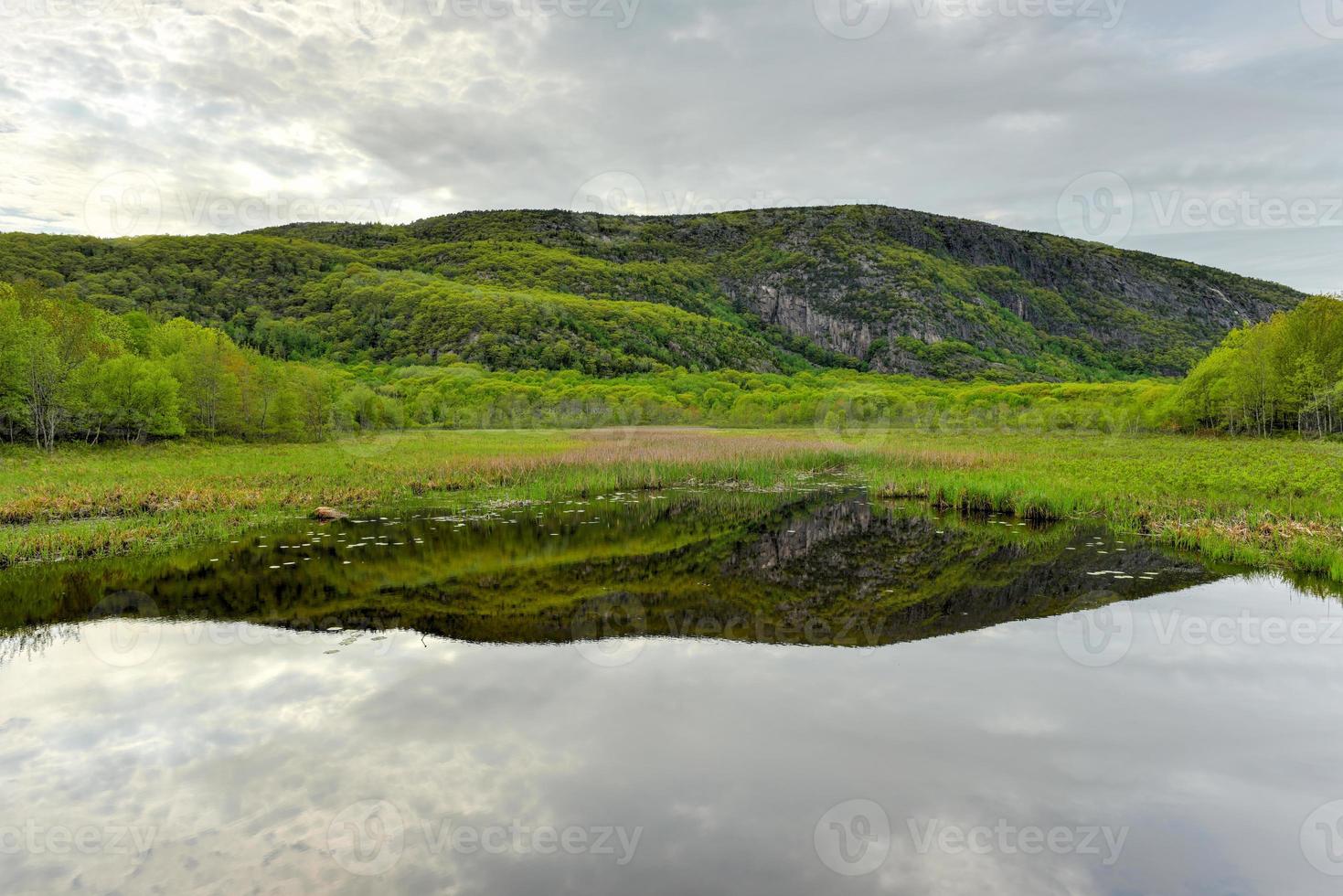 Reflecting lake in Acadia National Park, Maine. photo