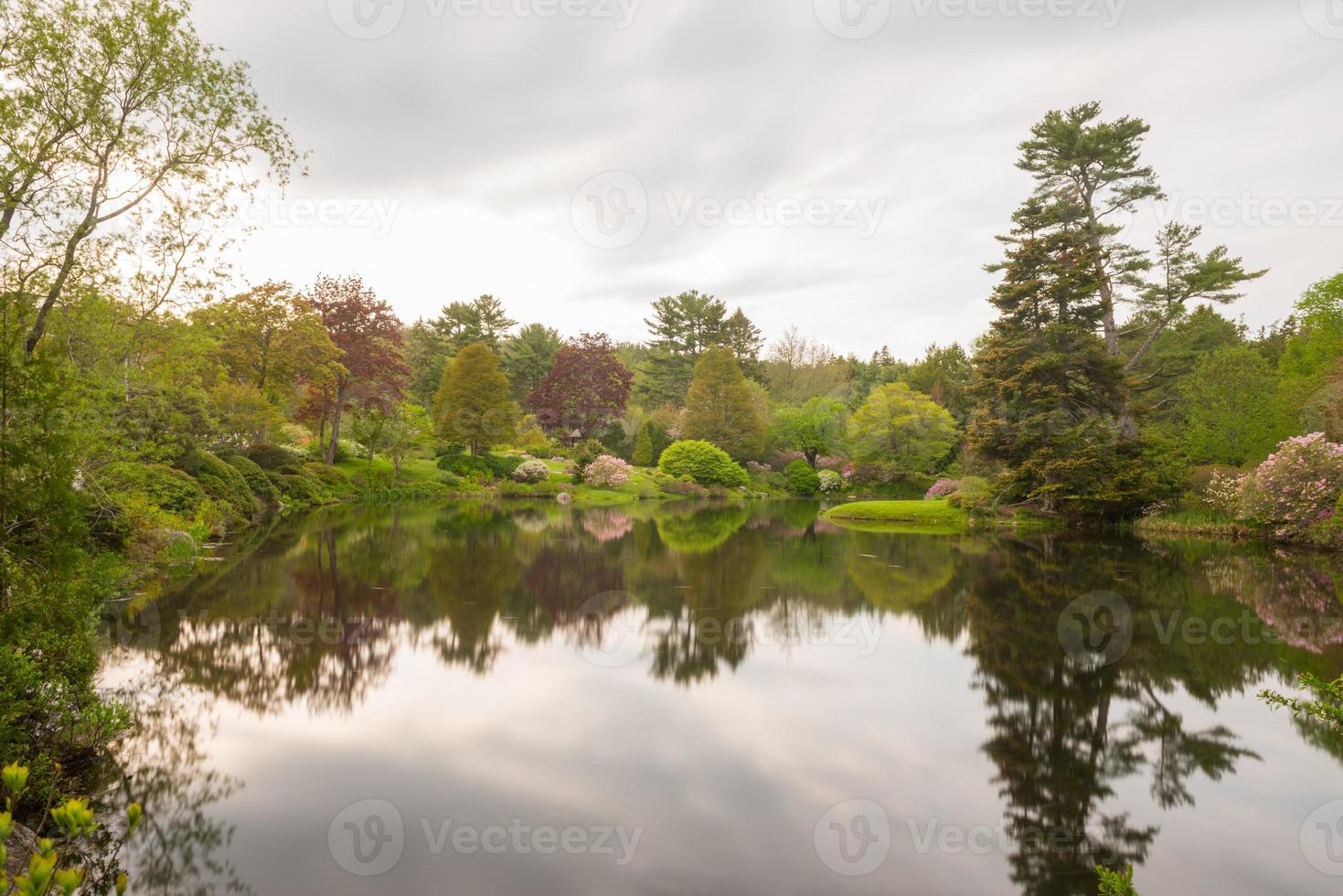 Jardines de azaleas asticou al estilo japonés en Mount Desert Island, Maine. foto