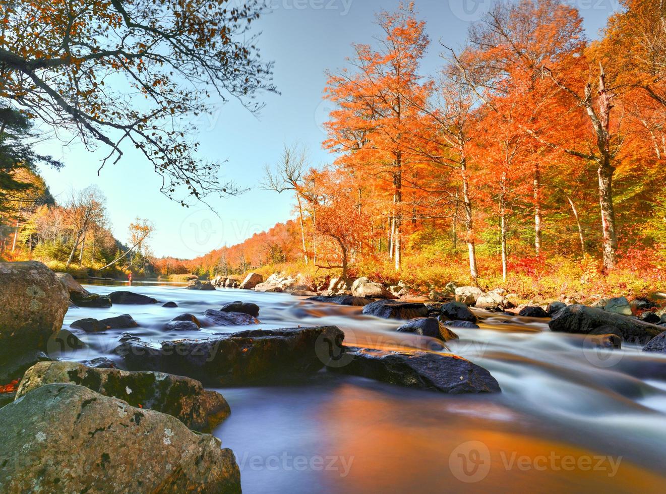 follaje de otoño de adirondacks, nueva york foto