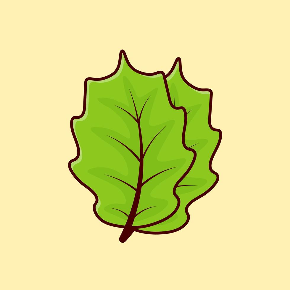 lettuce cartoon vector icon illustration