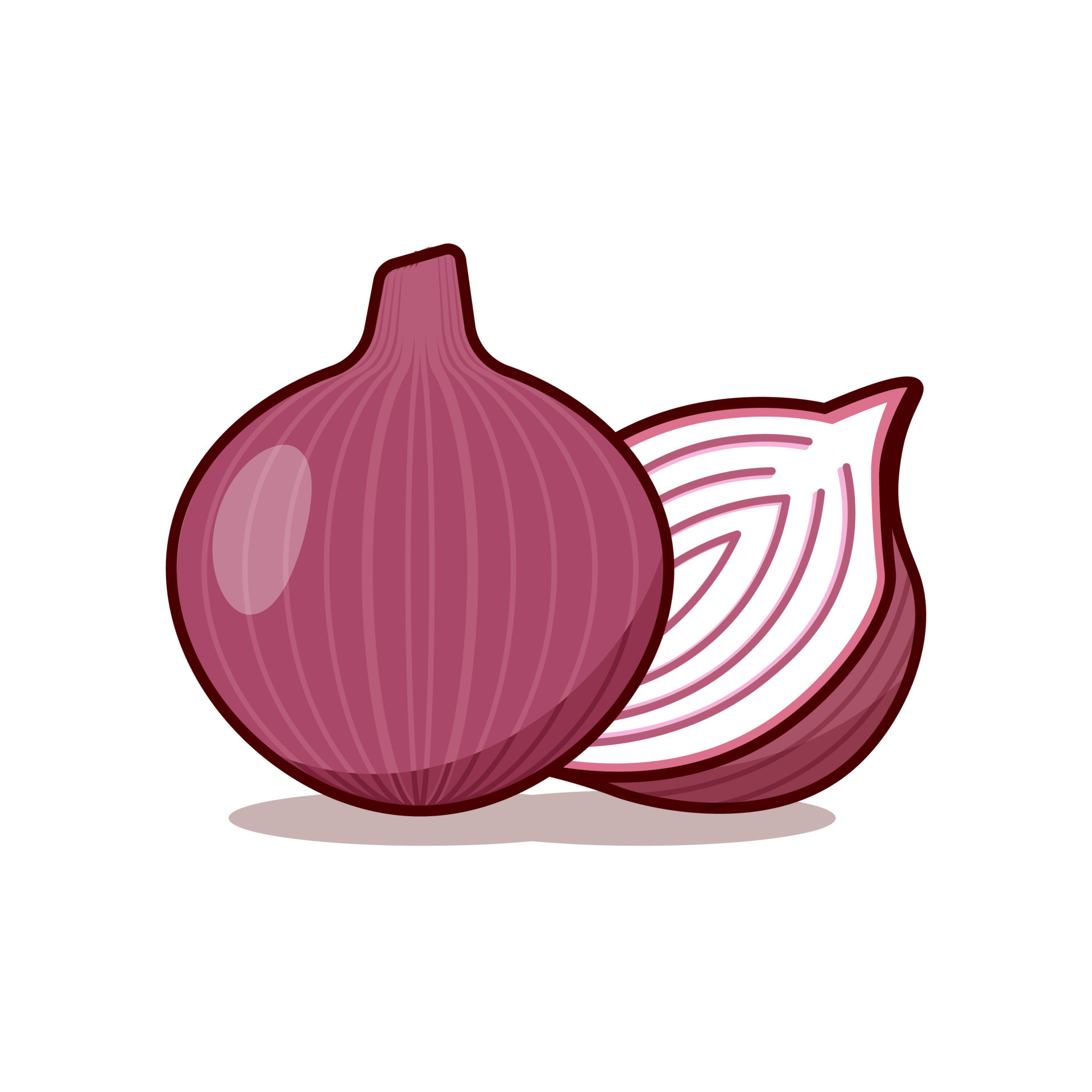 Amimation Onion amimation-onion