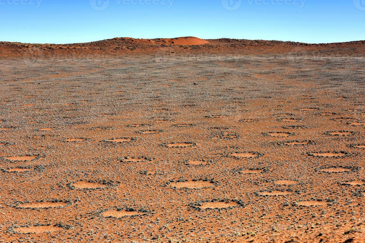 Fairy Circles - Namibia photo