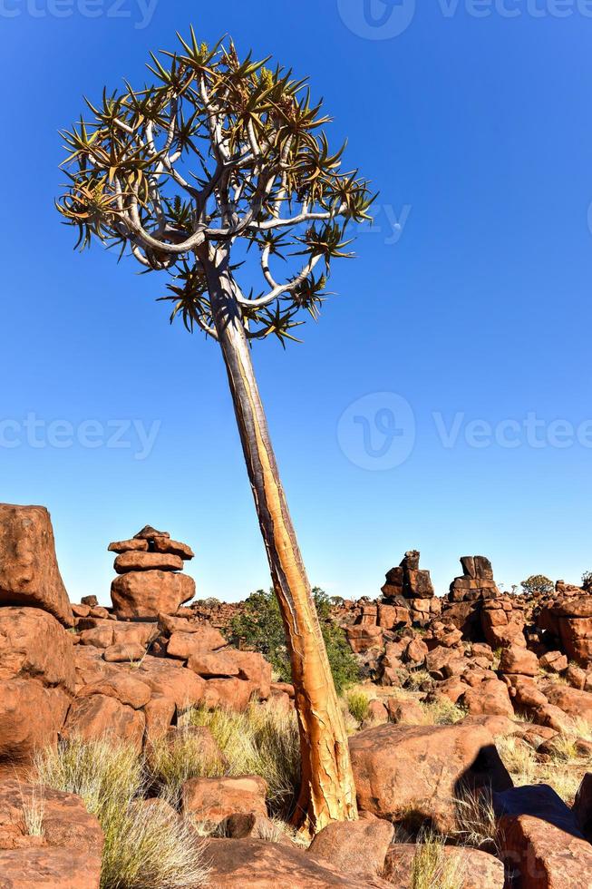 Giant's Playground - Namibia photo