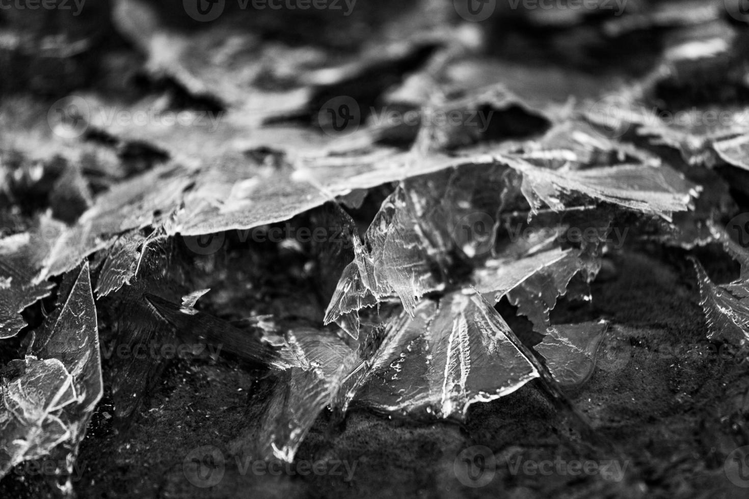 Ice Patterns on Thin Ice photo