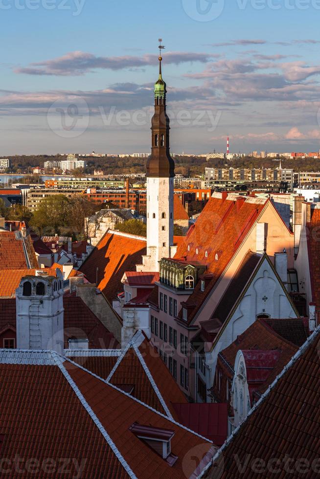 Tallinn Old Town in Summer Evening photo