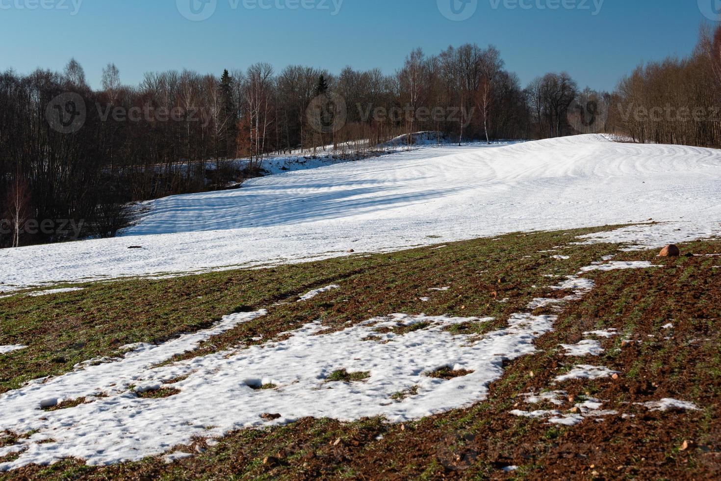 Winter Landscapes in Baltic States photo