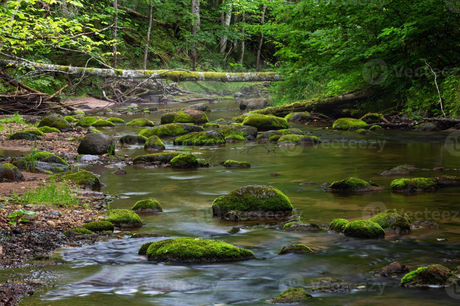 un pequeño río de bosque rocoso en verano foto