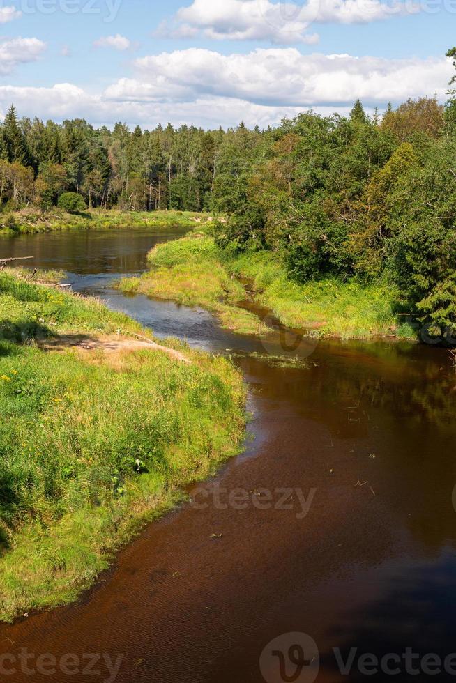 río gauja en verano foto