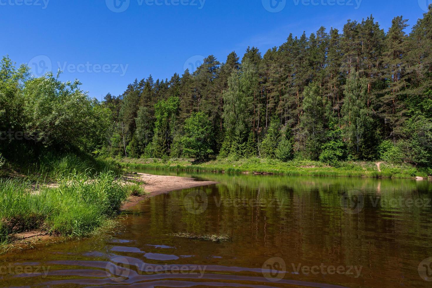 River in the summer photo