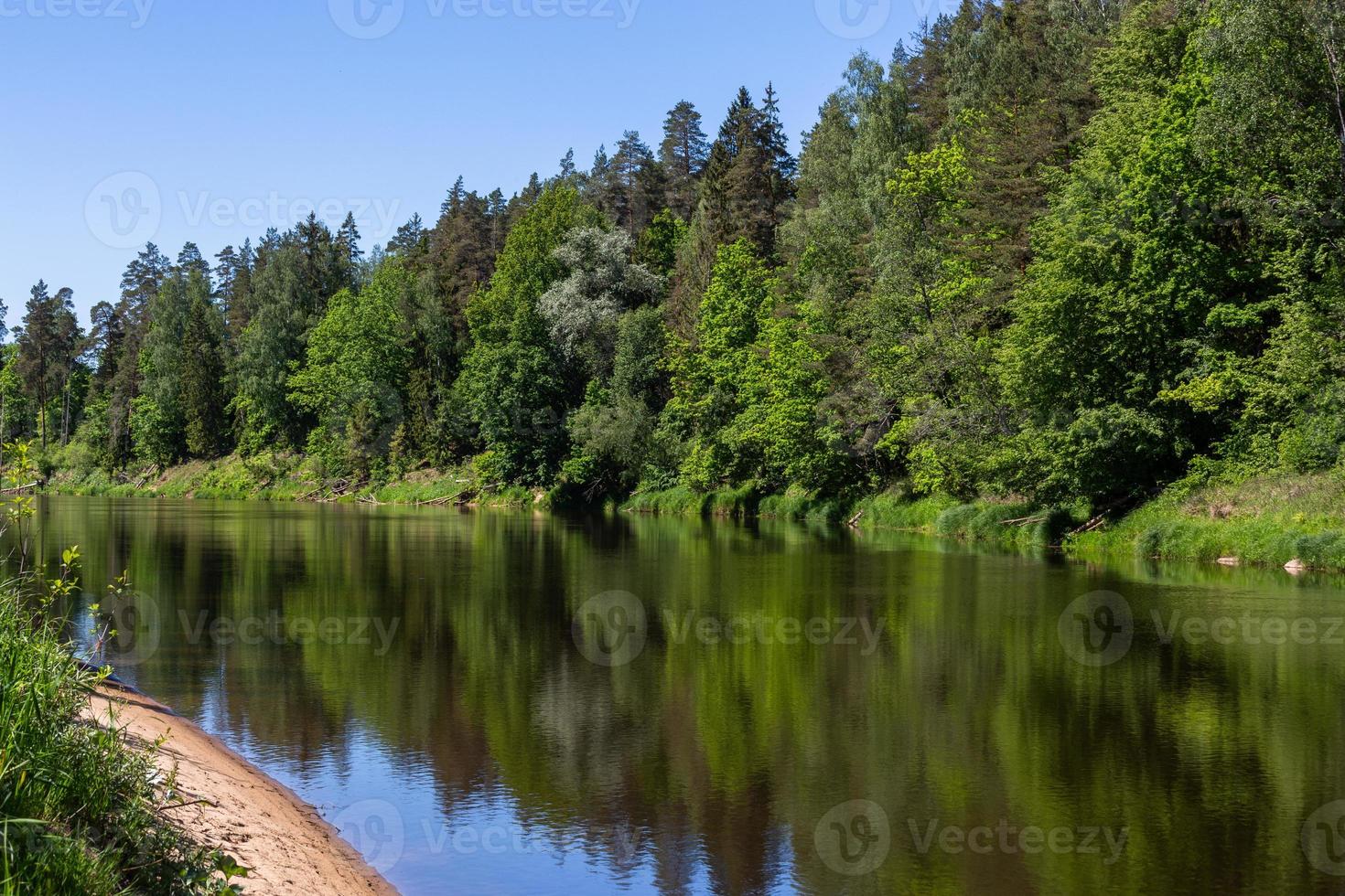 River in the summer photo
