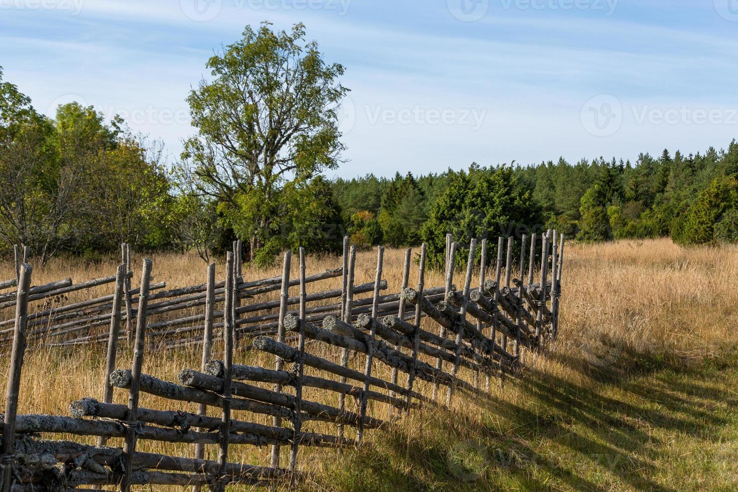 Natural landscapes of the island of Vormsi photo