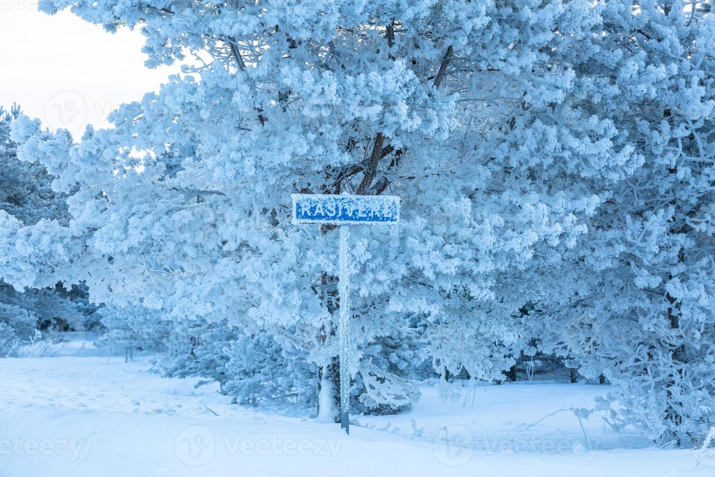 paisajes de invierno en estonia foto