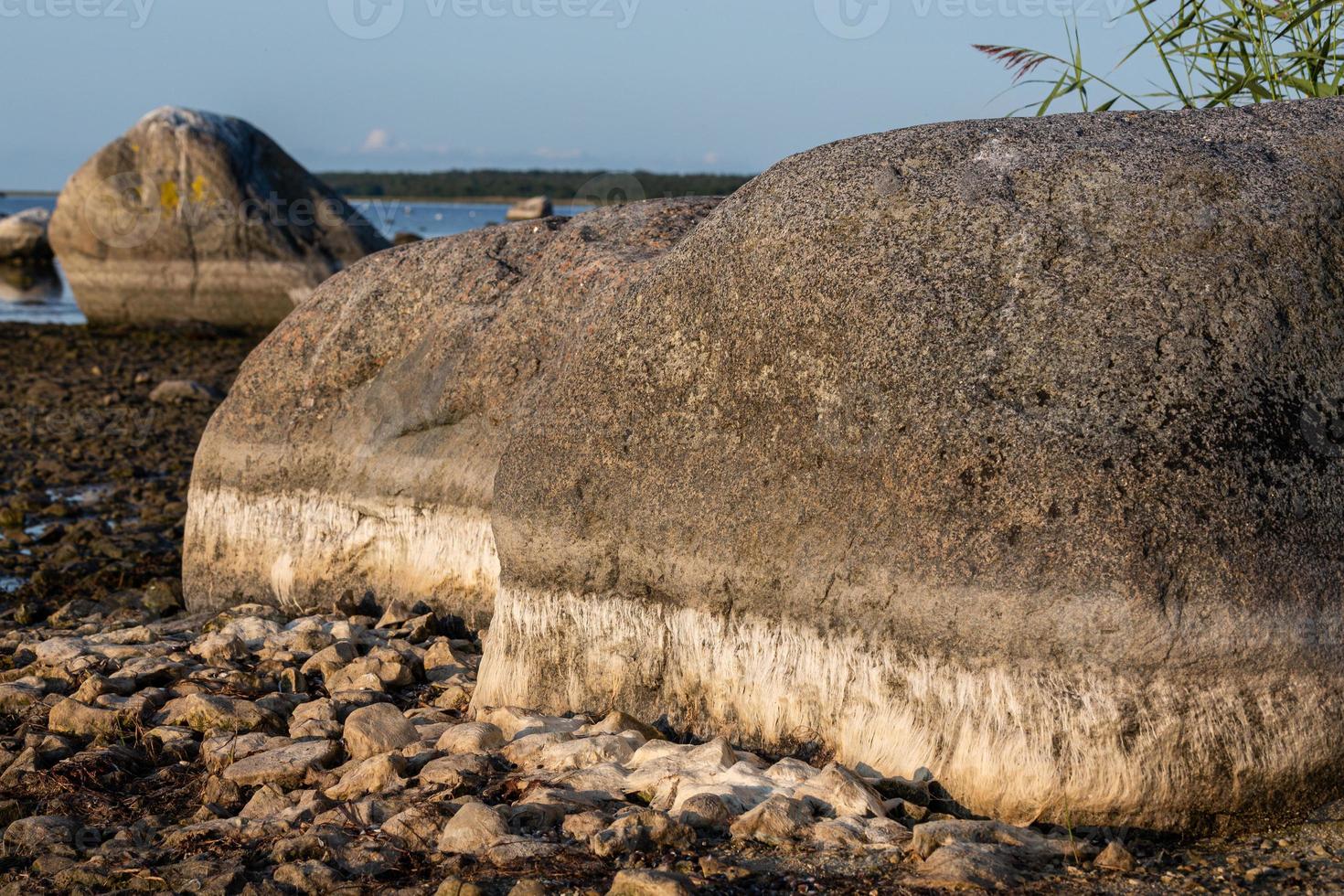 Natural landscapes of the island of Vormsi photo