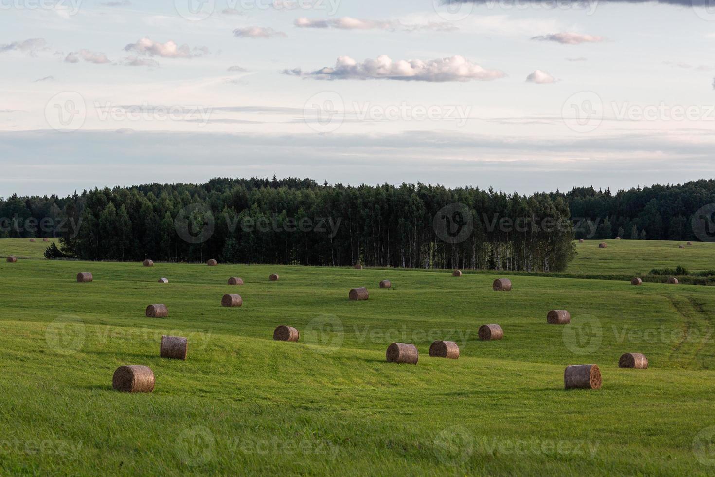 Rural Summer landscapes in Baltic States photo