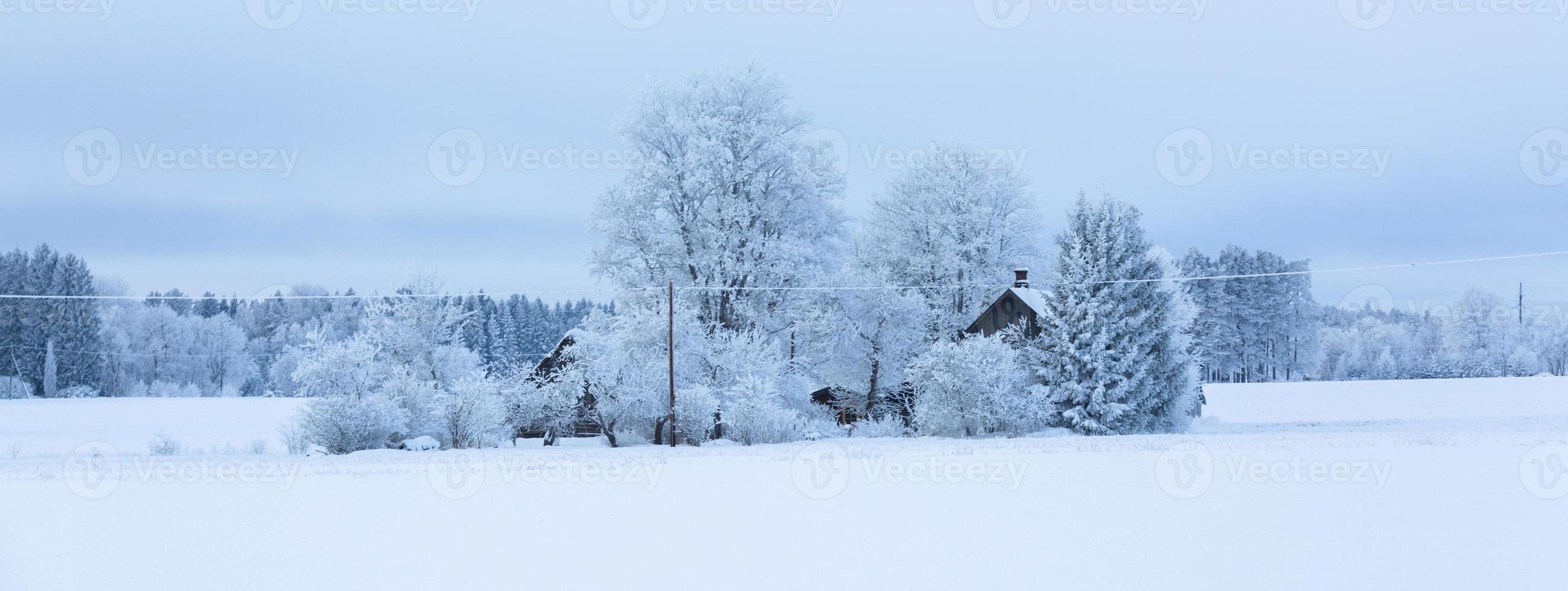 Winter Landscapes in Estonia photo