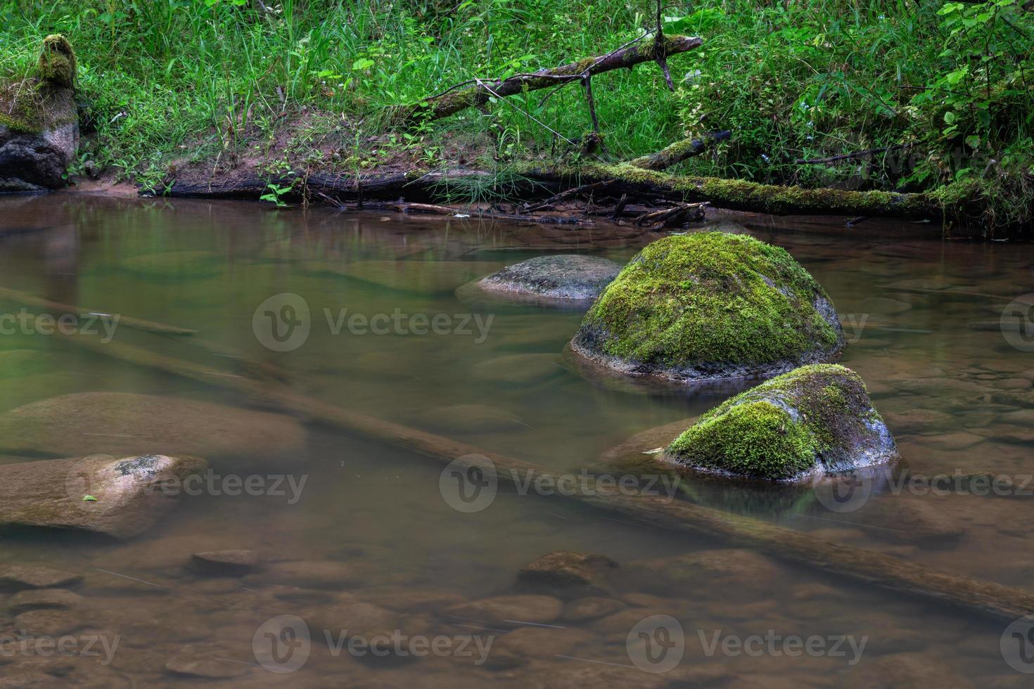 un pequeño río de bosque rocoso en verano foto