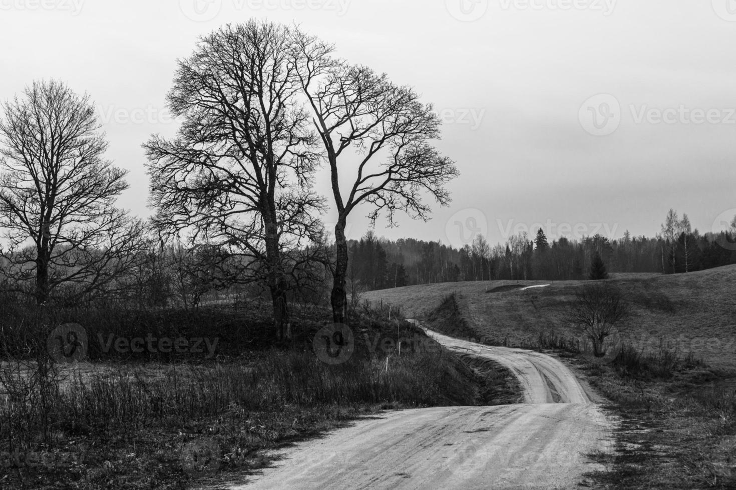 camino rural de grava foto