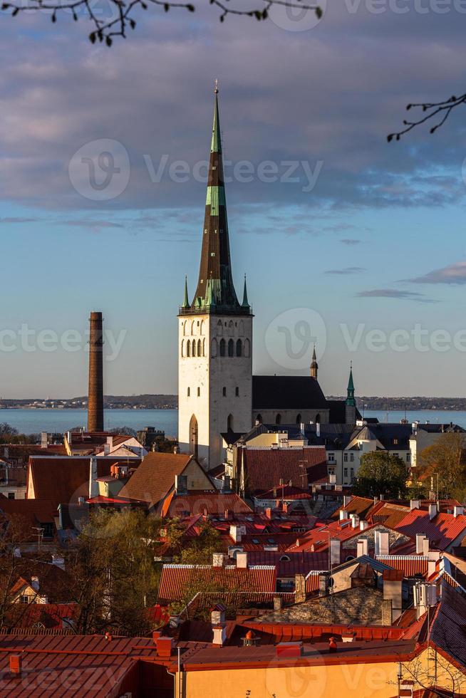 Tallinn Old Town in Summer Evening photo