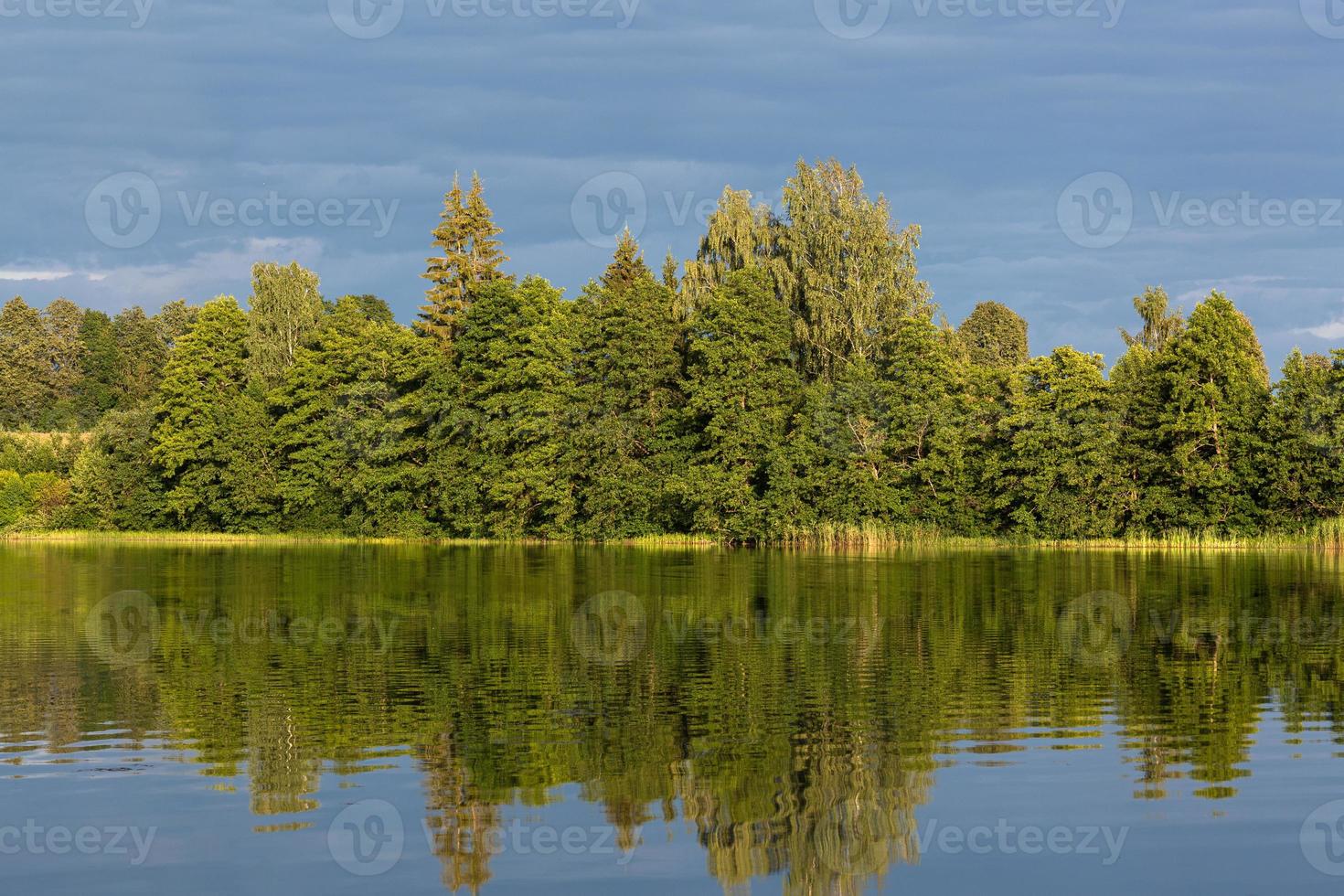 Summer Landscapes in Latvia photo