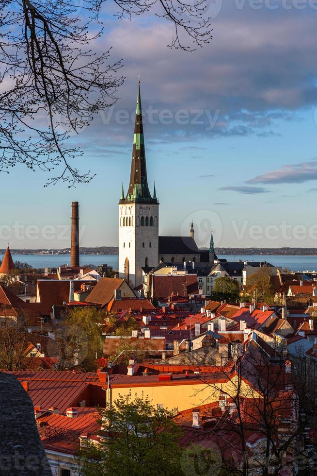 Tallinn Old Town in Summer Evening photo