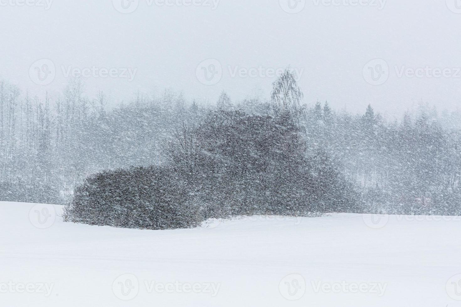 paisaje de pueblo rural letón en latgale en invierno foto