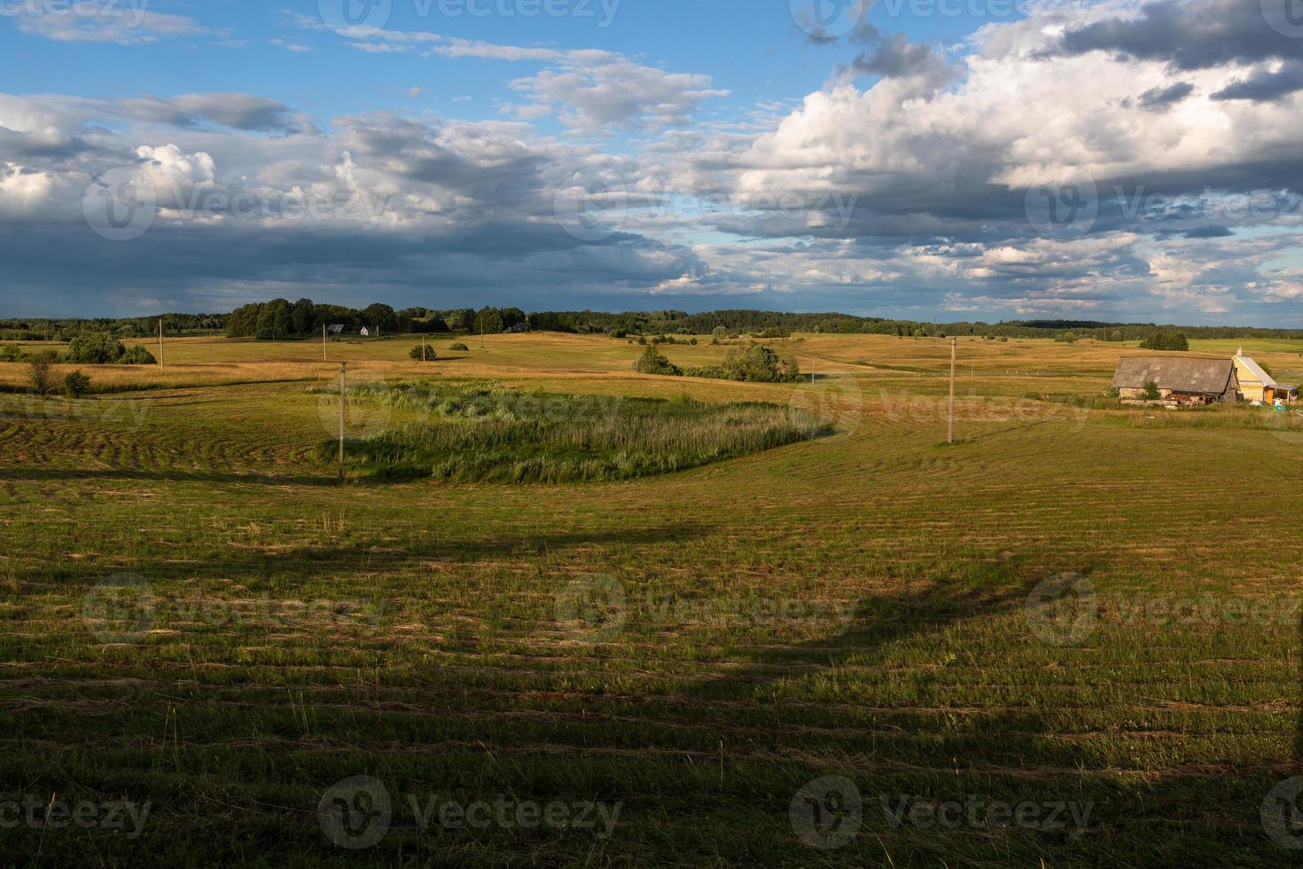 Rural Summer landscapes in Baltic States photo