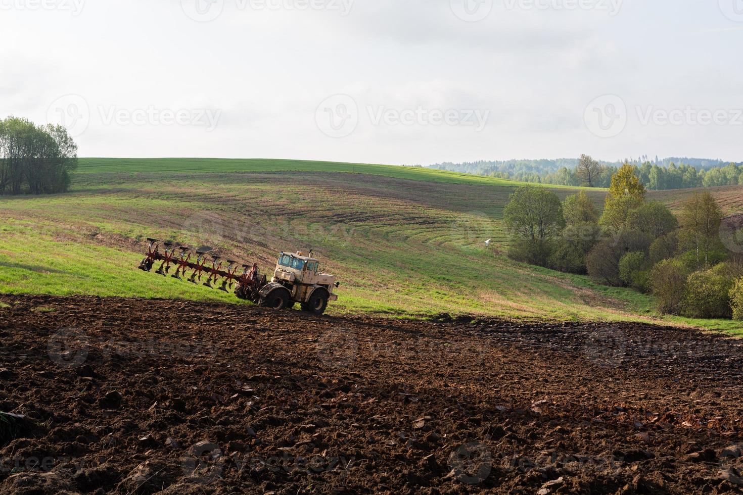 Summer Landscapes in the Latvian Countryside photo