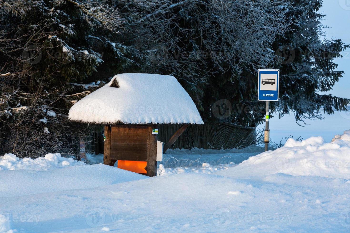 Winter Landscapes in Estonia photo