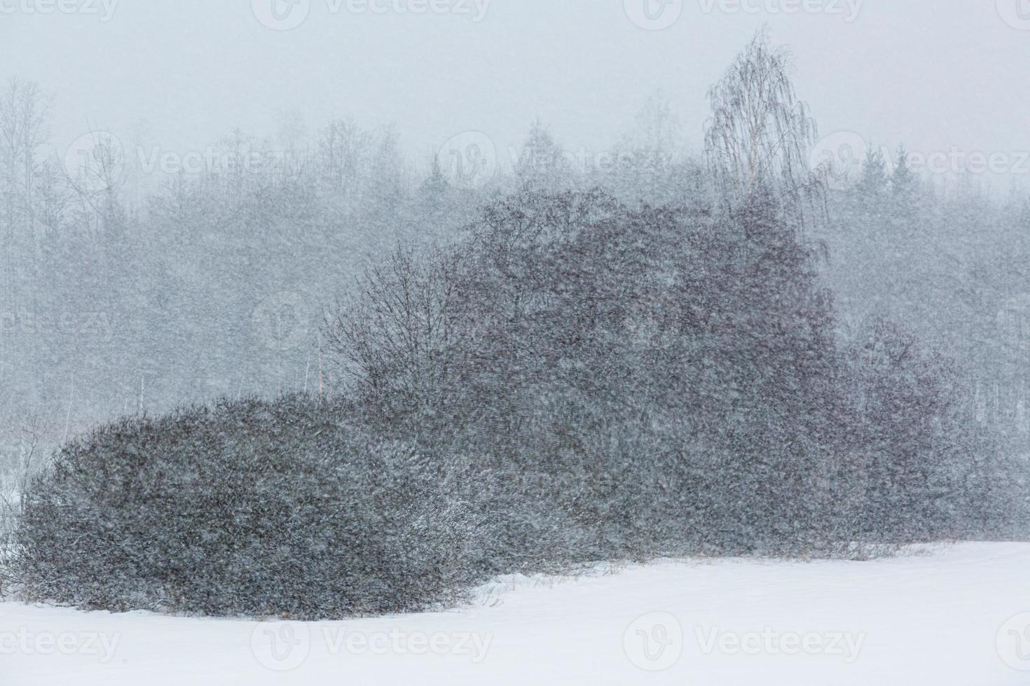 paisaje de pueblo rural letón en latgale en invierno foto