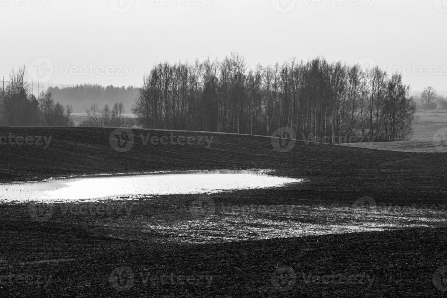 paisajes otoñales en letonia foto