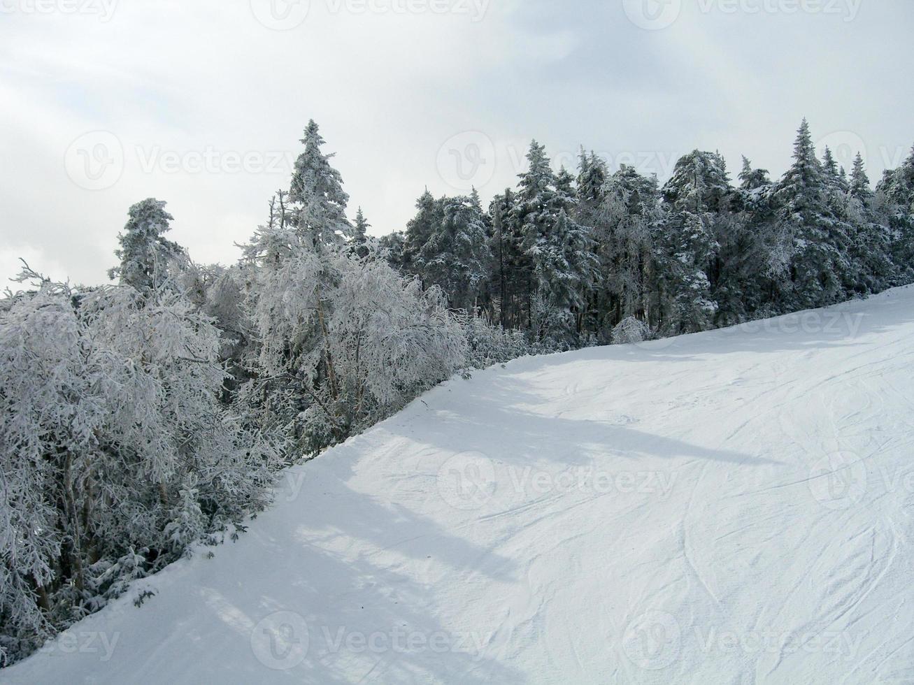senderos cubiertos de nieve en una estación de esquí de invierno en vermont foto