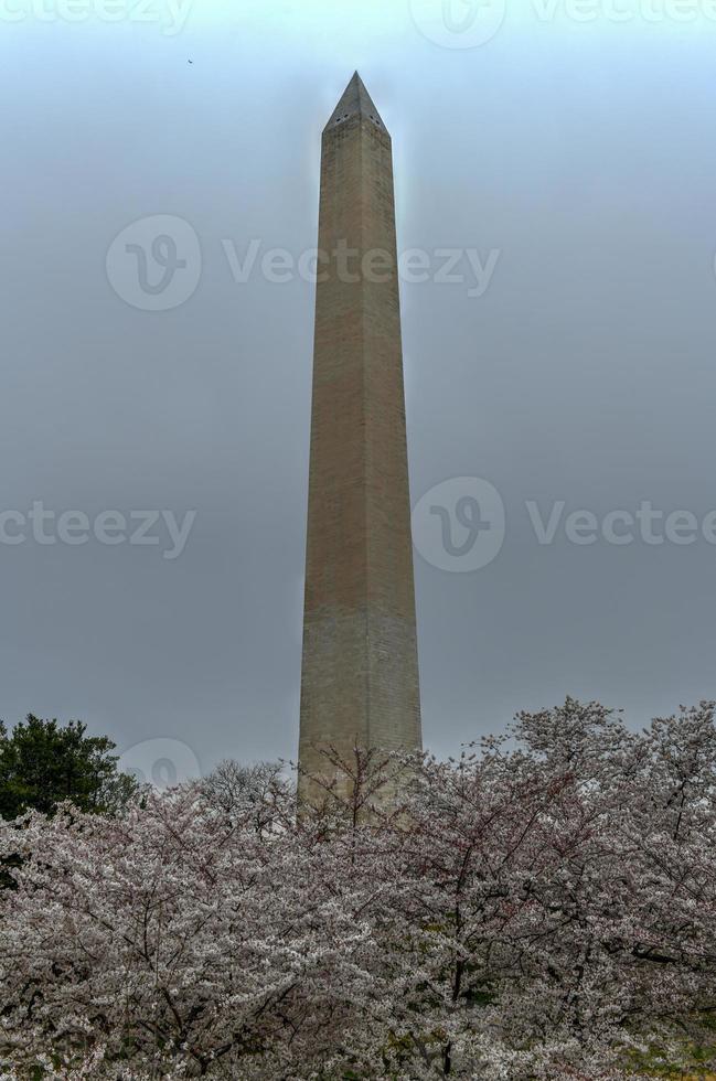 Washington Monument during the cherry blossom festival in Washington, DC photo