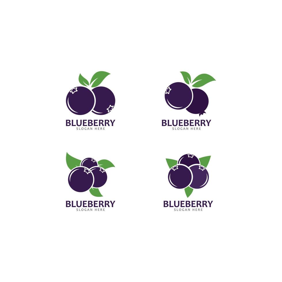 Blueberry logo vector template icon illustration