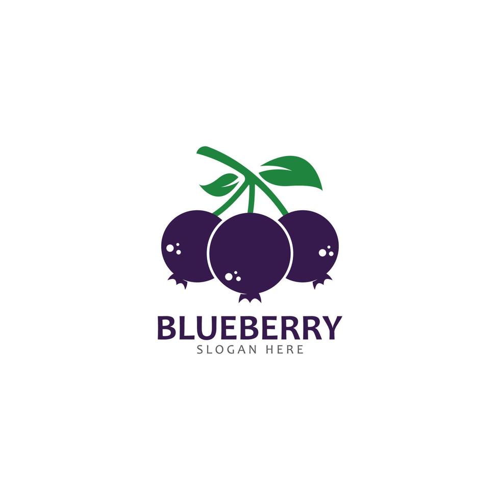 Blueberry logo vector template icon illustration