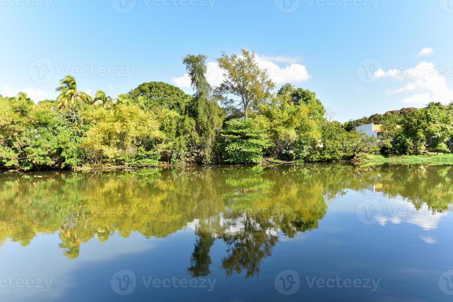 Almendares Park in the Great Metropolitan Park, also known as the forest of Havana in Cuba. photo