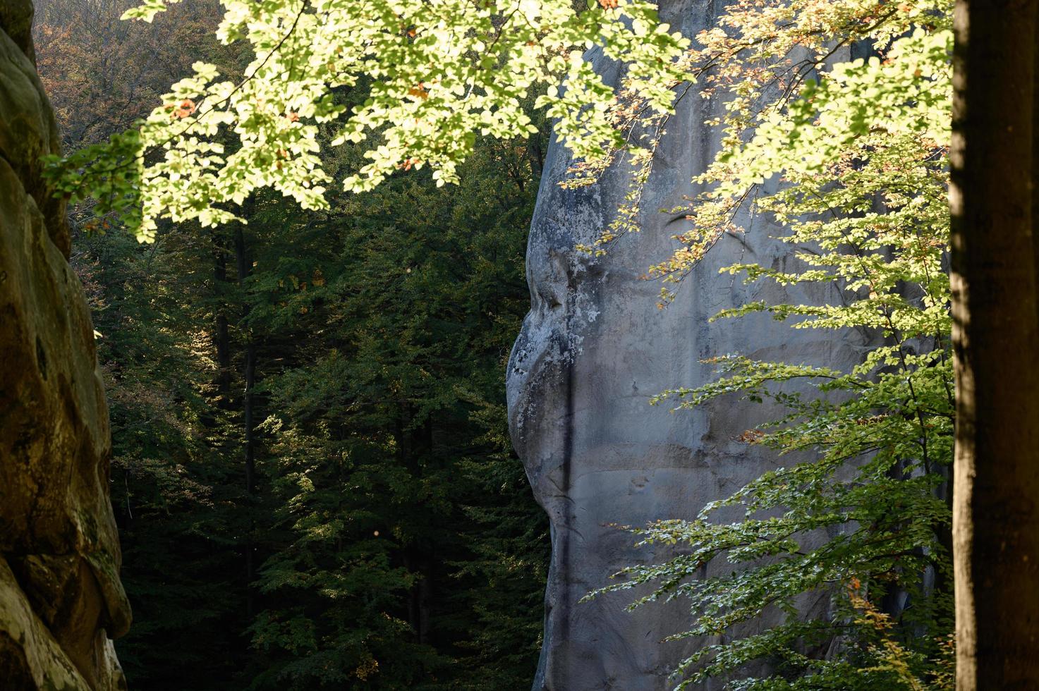 rocas dovbush en los bosques occidentales de Ucrania, bosques de hayas y grandes acantilados de piedra. foto