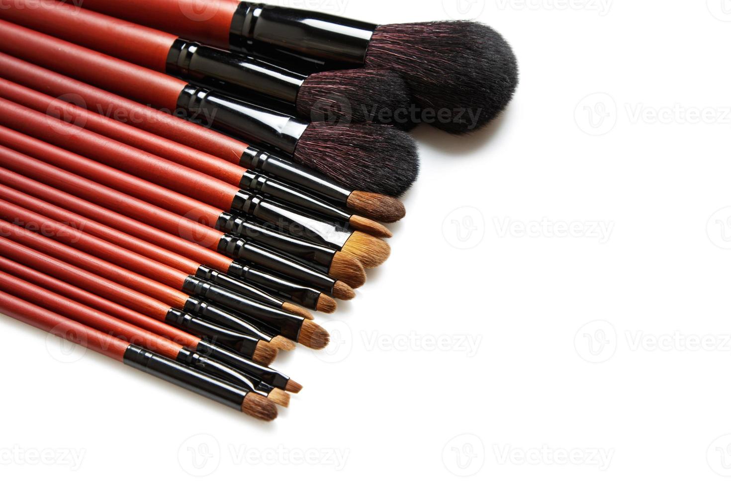 Professional makeup brushes with natural fur photo