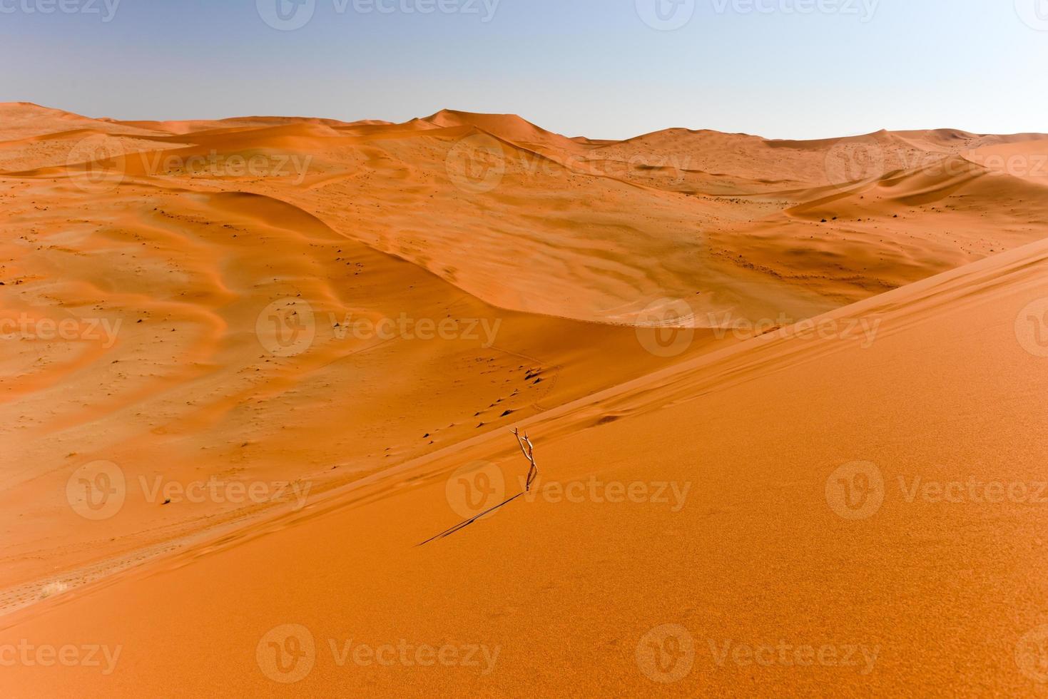 Sossusvlei desert, Namibia photo