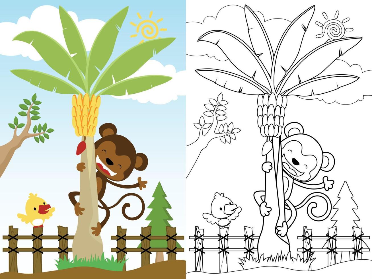 Vector illustration of funny monkey cartoon climb a coconut tree, bird perch on fence, coloring book or page