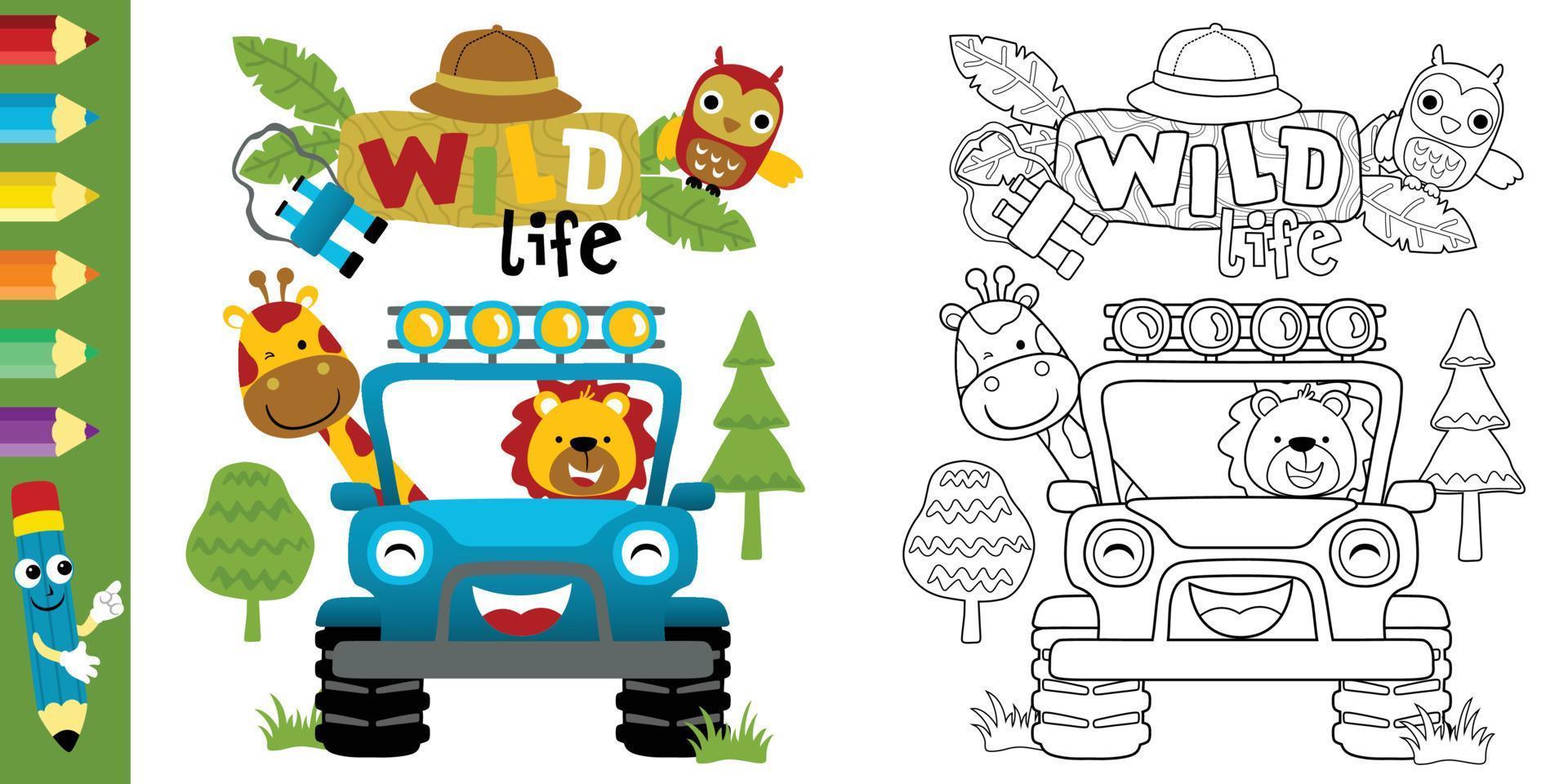 Vector cartoon of funny animals on car, safari elements cartoon, coloring book or page