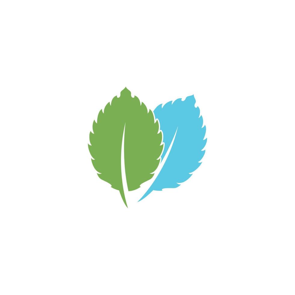 Mint leaf vector icon illustration