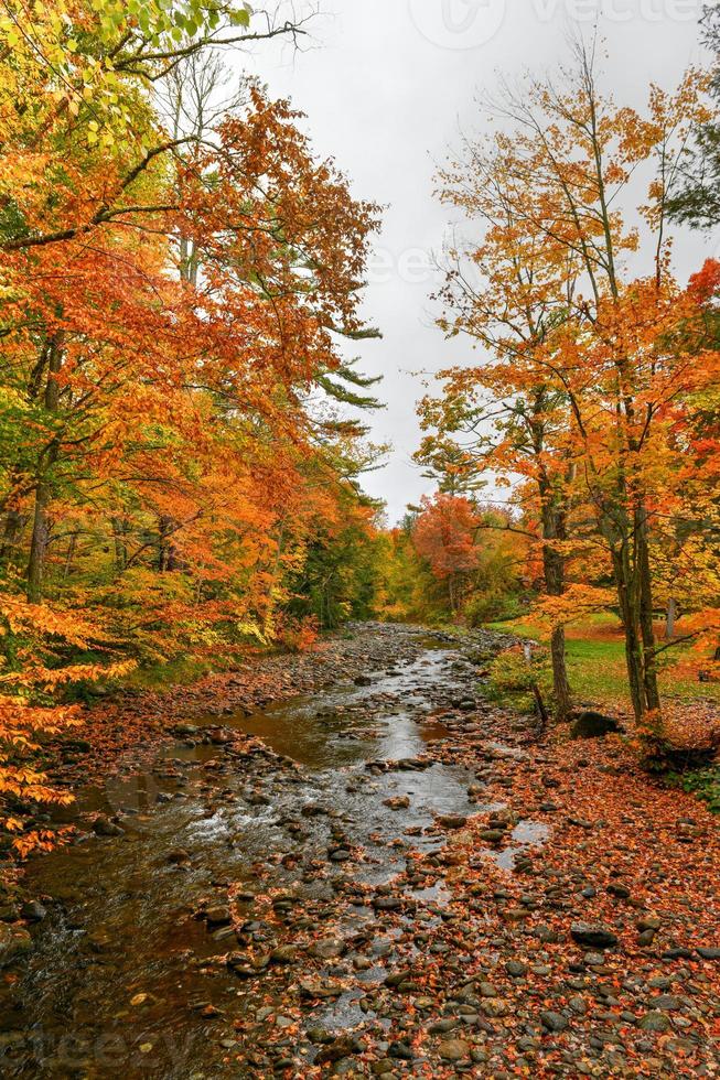 View from the Brookdale Covered Bridge in Stowe, Vermont during fall foliage over the West Branch Little River. photo