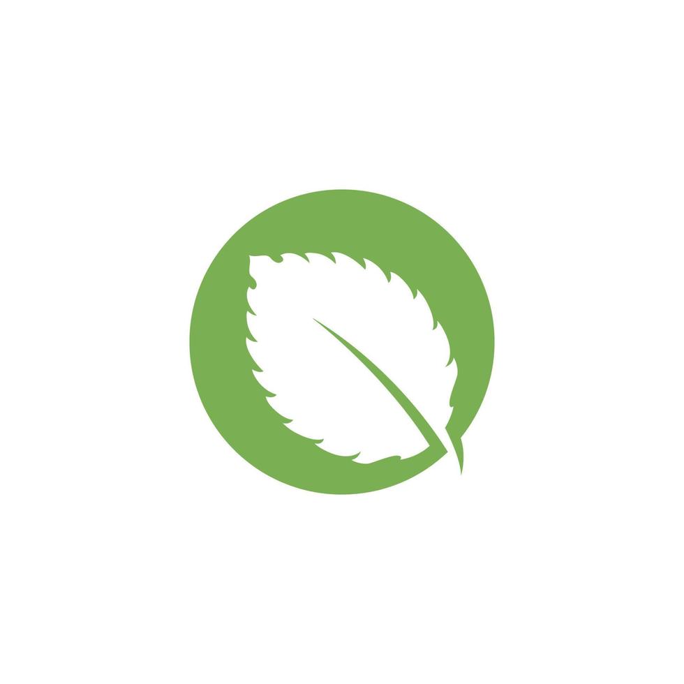 Mint leaf vector icon illustration