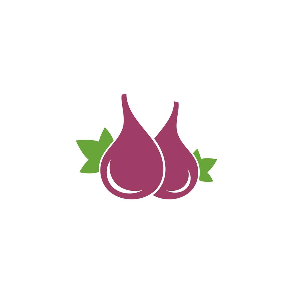 Fig. Vector illustration. Tropical fruit with fig leaf icon illustration