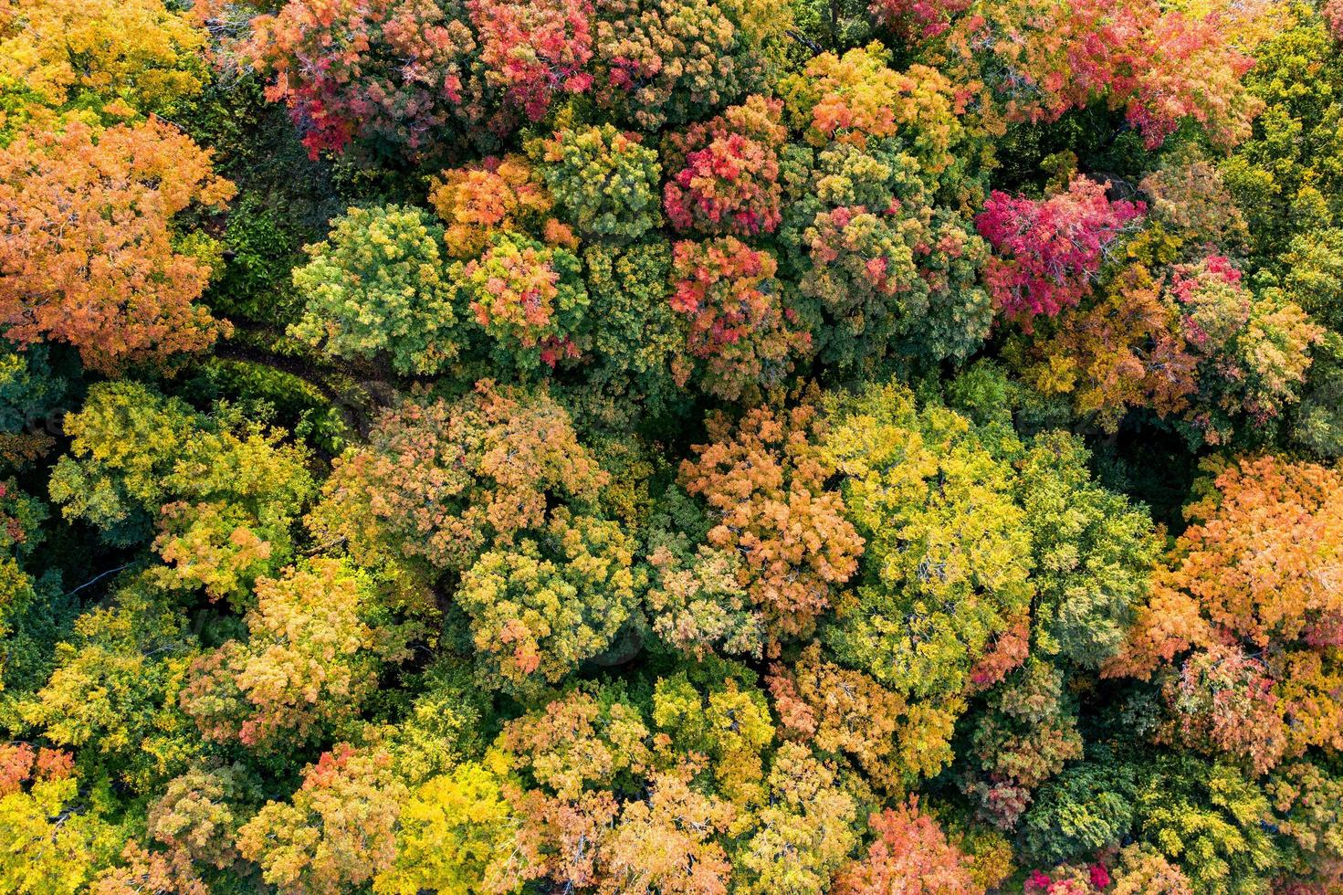 Aerial view of Mount Mansfield and the surrounding area during peak foilage in Fall in Vermont. photo